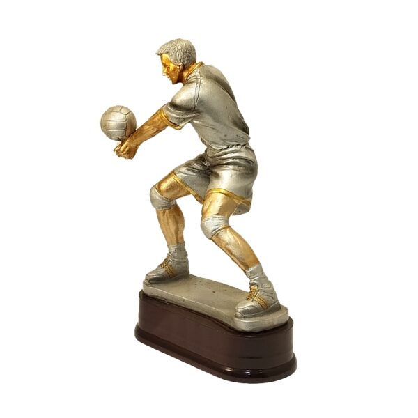 Trofeo Voleibol Masculino - Imagen 2